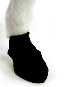 PAWZ Hundeschuhe aus Naturkautschuk (Pfotenschutzgummies)